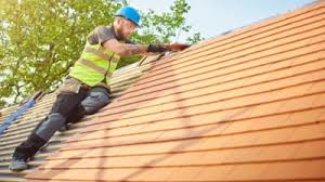 Best Asphalt Shingle Roofing  in San Luis, AZ