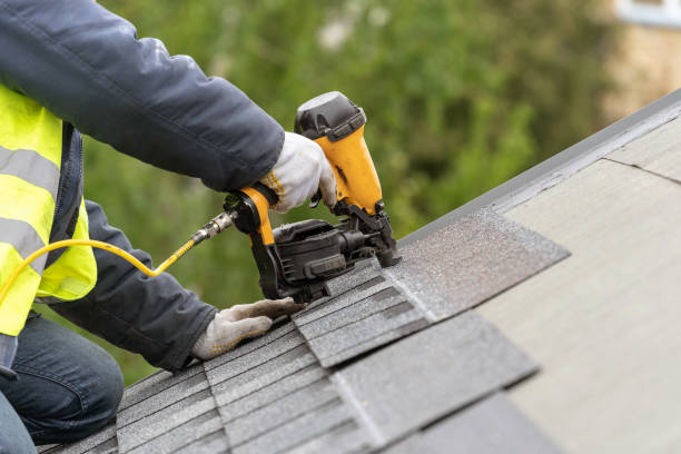 Best Roof Maintenance and Cleaning  in San Luis, AZ