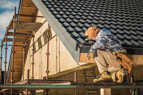 Best Roof Ventilation Installation  in San Luis, AZ