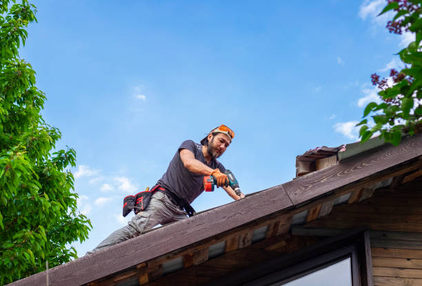 Professional  Roofing repair and installation in San Luis, AZ