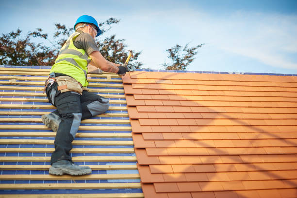 Best Tile Roofing Installation  in San Luis, AZ